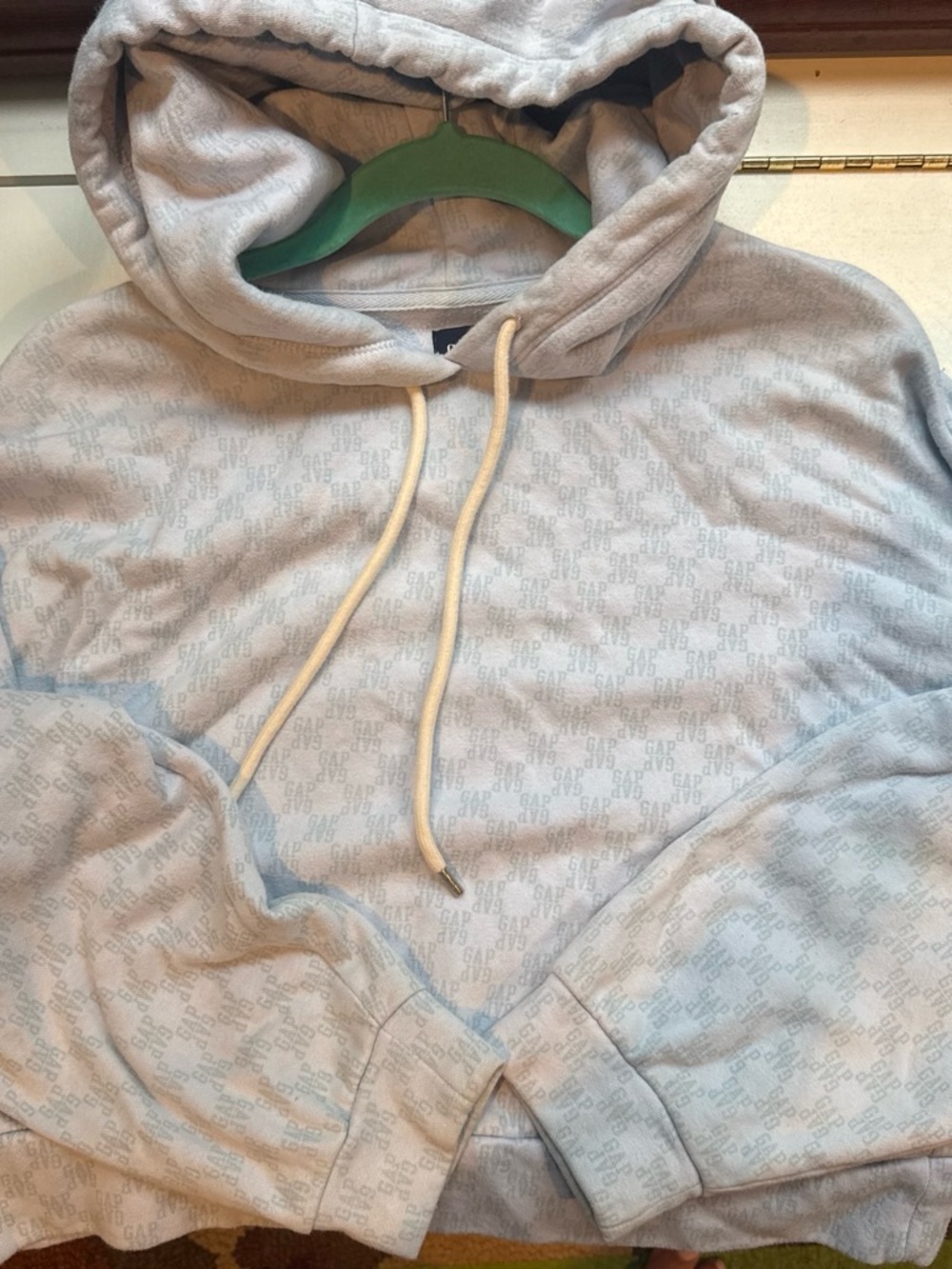 GAP women’s  Light blue Logo Pullover Hoodie